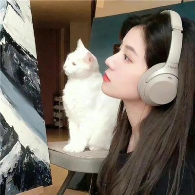高分少女第二季